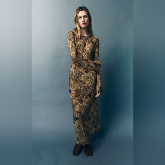 Zara Tan Navy Sheer Fitted Maxi Dress - Picture 4 of 14